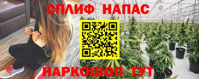 спайс Гусь-Хрустальный